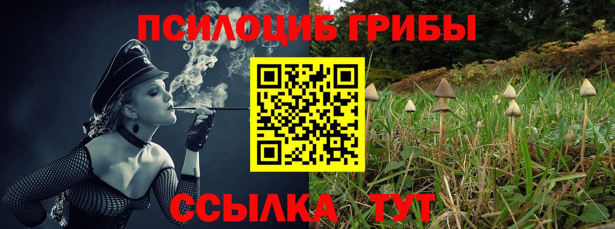 Псилоцибиновые грибы мухоморы Киров