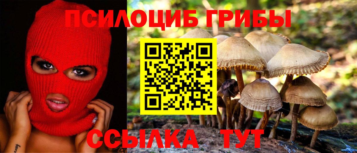 Псилоцибиновые грибы прущие грибы  Вход с VPN  Киров 