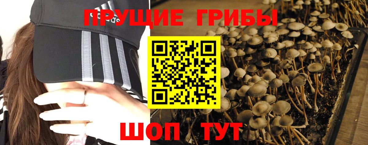 Киров  COCAIN  Каннабис  Вход с VPN  COCAIN  Гашиш  МЕФ   Метадон 
